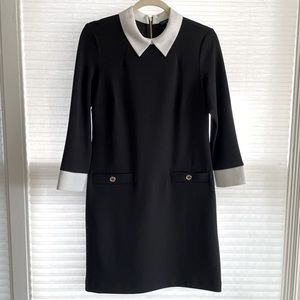 Tommy Hilfiger Black and White Collard Dress